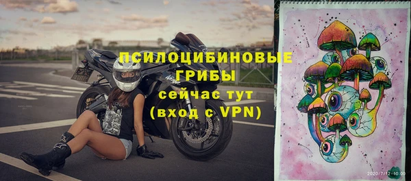 apvp Беломорск