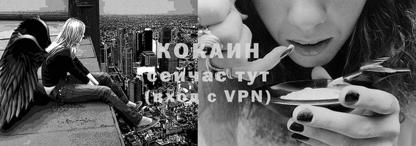 сатива Белокуриха