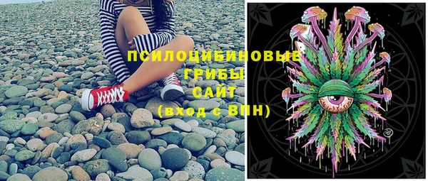 сатива Белокуриха