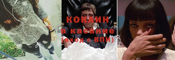 сатива Белокуриха