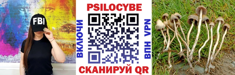 цена   Первомайск  Галлюциногенные грибы MAGIC MUSHROOMS 